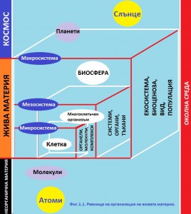 Материя на бильярдном столе